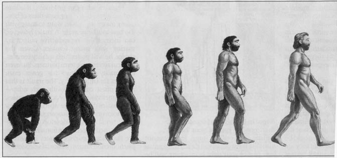 Darvinova teorija evolucije uzburkala Odbor za obrazovanje u Srbiji